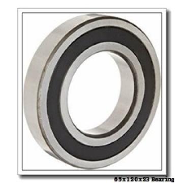 65 mm x 120 mm x 23 mm  NKE NJ213-E-MPA+HJ213-E cylindrical roller bearings