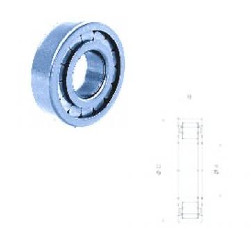 50 mm x 110 mm x 27 mm  Fersa NUP310FNR/C3 cylindrical roller bearings