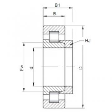 15 mm x 42 mm x 13 mm  ISO NH302 cylindrical roller bearings
