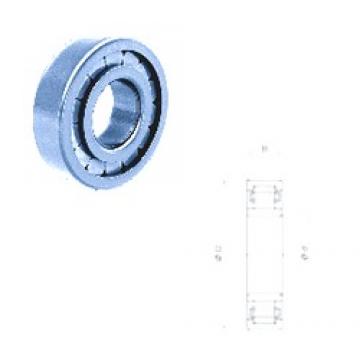 50 mm x 110 mm x 27 mm  Fersa NU310F cylindrical roller bearings