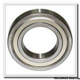 65 mm x 120 mm x 23 mm  SIGMA N 213 cylindrical roller bearings