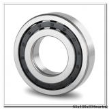 65 mm x 120 mm x 23 mm  NTN NJ213E cylindrical roller bearings